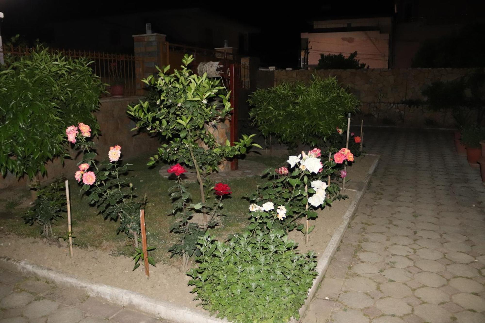 Raisa Guesthouse 12 Berat Esterno foto